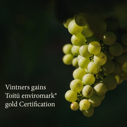 Vintners Gains Toitū Enviromark-Gold Certification 